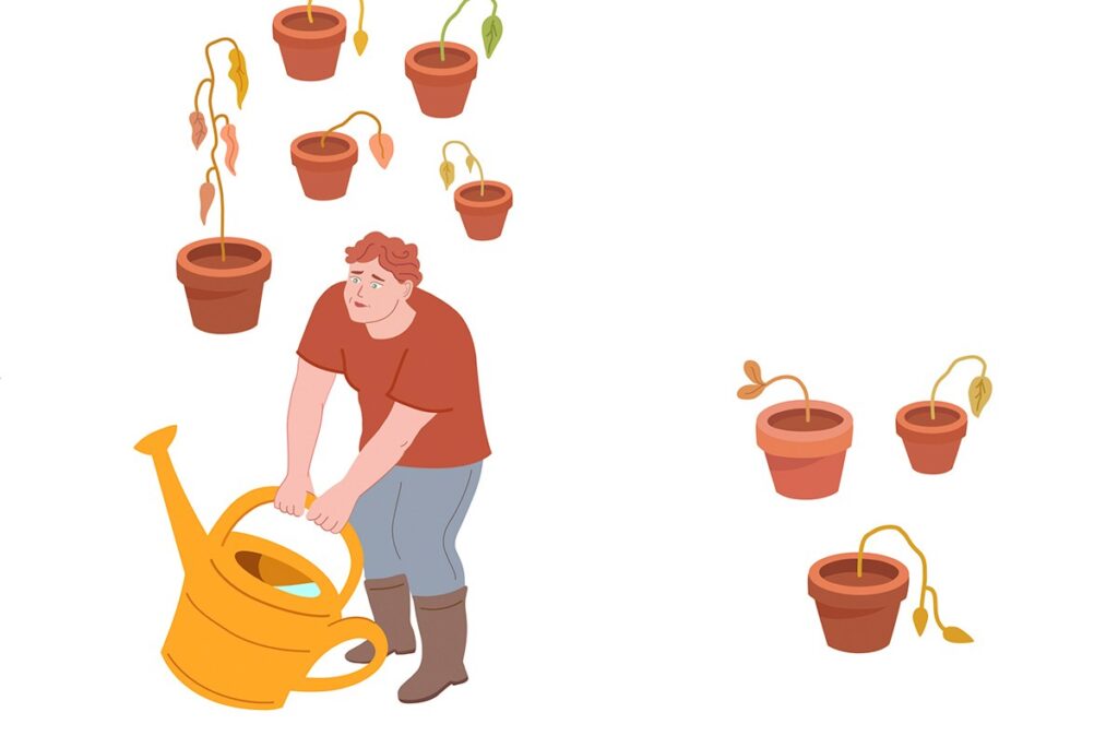 Uupumus: lakastuneet viherkasvit ruukuissaan